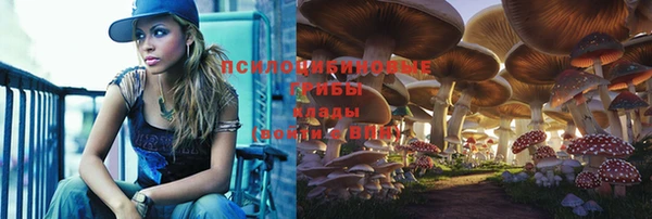 кокс Россошь