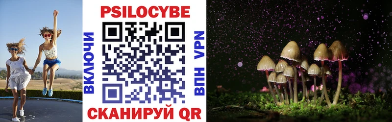 Псилоцибиновые грибы Cubensis  Суздаль 